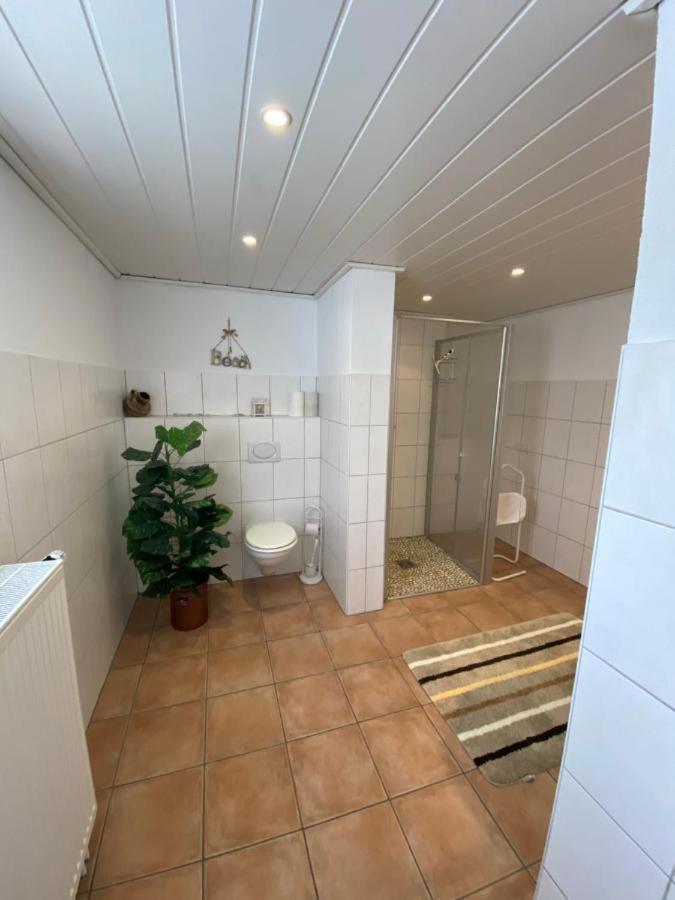 Ferienwohnung-Gasthaus Zum Ross Erlenbach am Main Екстериор снимка